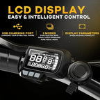 Vélo électrique pliant de 1000 W