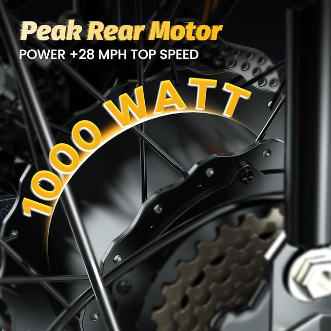 Vélo électrique pliant de 1000 W