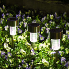 SOLPEX 16 Pack Solar Outdoor Lights Pathway, Stainless Steel Solar Lights Outdoor Waterproof,LED Landscape Lighting Walkway for Landscape/Patio/Lawn/Yard/Driveway-Cold White