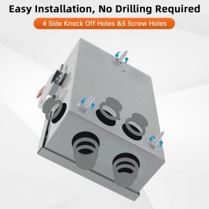 2P 60Amp Fusible Disconnect Switch, 120V/240V Heavy Duty Safety Switch, NEMA 3R Rated, for Outdoor/Indoor Use