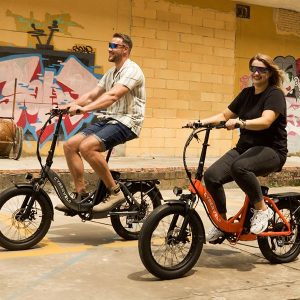 1000W Folding Electric Bike,48V20.8AH Removable Battery EBike,30+MPH,80 Miles Max Range Electric Bike for Adults, 20" Fat Tire Foldable ebike, Adult Electric Bikes for Commute Beach Snow(Rose Red)