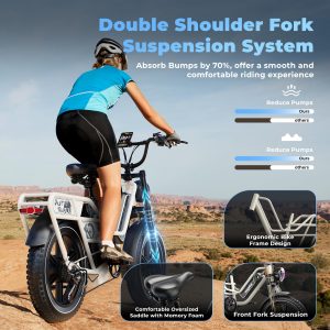 Dual Battery Electric Bike for Adults, 160 Miles Long Range Cargo Ebike with 48V 60AH Removable Battery, 1450W Peak Motor 34MPH Electric Bicycle, 20" x 4" Fat Tire Hydraulic Disc Brakes E Bike Grey