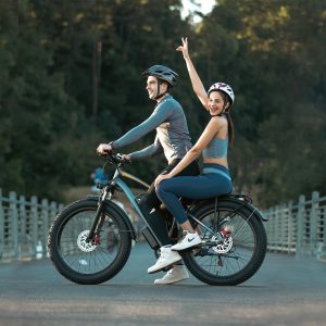 Leeyalan Moped Electric Bike for Adults 1500W(Peak) Motor with 960Wh Removable Battery, 20" Fat Tire Electric Bike 30MPH Top Speed 7 Speed Gears, Dual Shock, Hydraulic Suspension, E Bikes for Adults