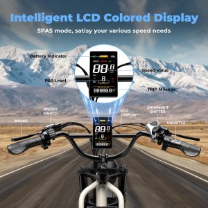 Dual Battery Electric Bike for Adults, 160 Miles Long Range Cargo Ebike with 48V 60AH Removable Battery, 1450W Peak Motor 34MPH Electric Bicycle, 20" x 4" Fat Tire Hydraulic Disc Brakes E Bike Grey