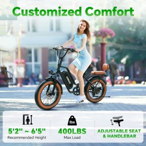 2 Seater Electric Bike, 1300W Peak (750W) Motor Ebike, 48V 20AH Removable Battery, 20"x 4.0" Fat Tire Electric Bike, Commuter Electric Bicycle for Adults, Ctity Couple Ebike,Black