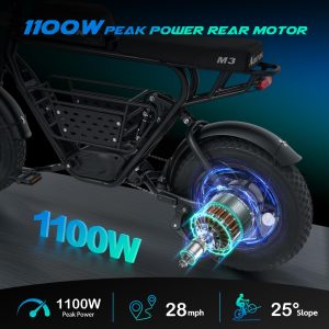 Narrak Electric Bike for Adults,1100W Peak Motor 16"x 4.0 Fat Tires 28MPH E-Bike, 48V Removable Battery Dirt Bike, Dual Suspension & Brakes Motorcycle, 7-Speed, All Terrain for Mountains, Snow (Black)