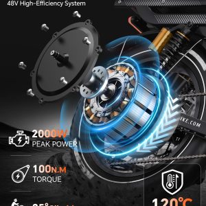 TESWAY 200Miles Ultra Long Range Step-Thru Electric Bike for Adults 2000W 32MPH, UL Certified 48V 60AH Full Suspension Ebike (48v 200miles Single Motor/Step-Thru, Black)