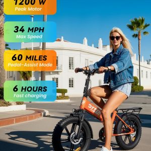 DTTZH Folding Electric Bikes for Adults, 1000W 30MPH Foldable Ebike, 20 Inch Fat Tire Folding Commuter E Bike, 60 Miles 48V 15Ah Removable Battery, UL2849 Adults Electric Bicycle Black