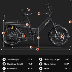 TESWAY 200Miles Ultra Long Range Step-Thru Electric Bike for Adults 2000W 32MPH, UL Certified 48V 60AH Full Suspension Ebike (48v 200miles Single Motor/Step-Thru, Black)