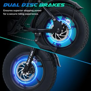 Narrak Electric Bike for Adults,1100W Peak Motor 16"x 4.0 Fat Tires 28MPH E-Bike, 48V Removable Battery Dirt Bike, Dual Suspension & Brakes Motorcycle, 7-Speed, All Terrain for Mountains, Snow (Black)