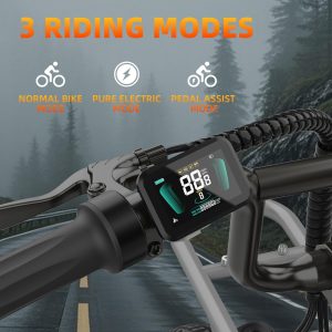 20" Fat Tire Electric Bike for Adults 750W/1500W Peak Motor Ebike 28 MPH E bike 90 Miles Long Range Urban Outdoor Commuter Ebikes with 48V Removable Battery 7 Speed E-bike All-Terrain Electric Bicycle