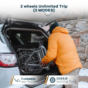 1000W Folding Electric Bike, 48V 20.8AH Large Removable Battery E-Bike, 30+MPH, 80 Miles Max Range, 20" Fat Tire Electric Bike for Adults, Adult Electric Bicycles Commute E-Bikes For Women/Men