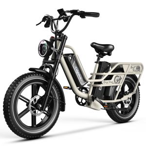 Dual Battery Electric Bike for Adults, 160 Miles Long Range Cargo Ebike with 48V 60AH Removable Battery, 1450W Peak Motor 34MPH Electric Bicycle, 20" x 4" Fat Tire Hydraulic Disc Brakes E Bike Grey