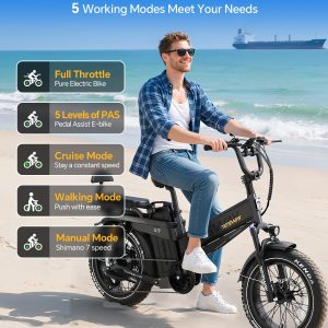 TESWAY 52V 60AH 200 Miles Long Range Ebike, 2000W Versatile Electric Bike,4-Piston Hydraulic Brakes & Full Suspension, 20x4.0 All Terrain Fat Tire EBike with 2 Seaters