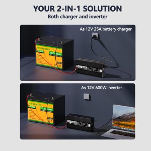 ECO-WORTHY 200 Watt 12V Complete Solar Panel Starter Kit for RV Off Grid with Battery and Inverter: 2pcs 100W Solar Panel + 30A Charge Controller + 100Ah Lithium Battery + Premium Solar Inverter