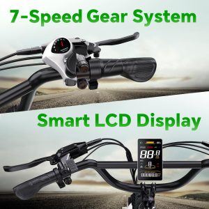 2 Seater Electric Bike, 1300W Peak (750W) Motor Ebike, 48V 20AH Removable Battery, 20"x 4.0" Fat Tire Electric Bike, Commuter Electric Bicycle for Adults, Ctity Couple Ebike,Black