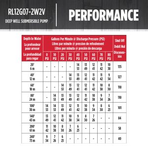 Red Lion RL12G07-2W2V 4-inch Submersible Deep Well Pump, 3/4 HP, 12 GPM 2-Wire, 230 Volts, Steel, 14942403