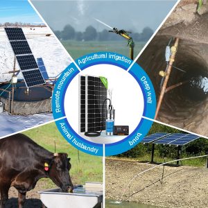 ECO-WORTHY Solar Well Pump Kit 12V DC Submersible Water Pump with 200W Solar Panel for Off-Grid Areas, Deep Wells, Irrigation, and Water Tank Filling