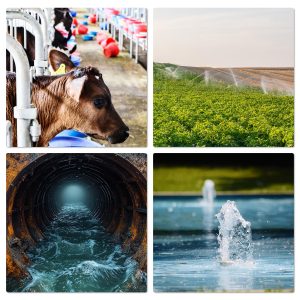 ECO-WORTHY 12V DC Submersible Deep Well Pump, MAX Flow 3.2GPM, Max Head 230ft, Water Pump Powered by Solar or Battery for Well, Livestock Drinking or Tank Filling…