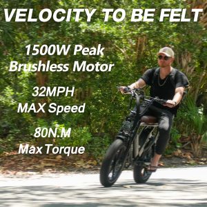 Mukkpet Ninja Moped Ebike,Peak 1500W Motor Electric Bike for Adult,120Miles 32MPH 30AH Removeable Battery Ebike,20"" x4.0 Fat Tires,7-Speed,Dual Suspension, 2 Seater (Standard)