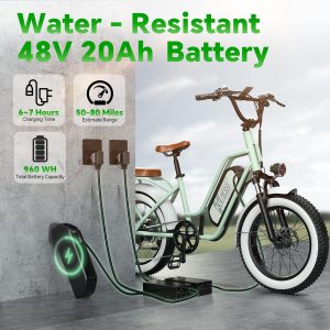 2 Seater Electric Bike, 1300W Peak (750W) Motor Ebike, 48V 20AH Removable Battery, 20"x 4.0" Fat Tire Electric Bike, Commuter Electric Bicycle for Adults, Ctity Couple Ebike,Black