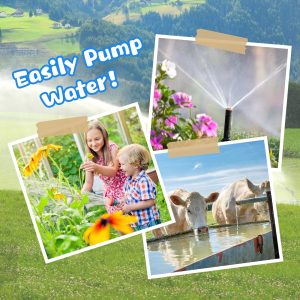 Solar Well Pump Kit with Timing Function, Submersible Solar Water Pump+Four Solar Panels(Matching Fixed Bracket)+Waterproof Box(Contains Controller, Battery, Timer) for Well, Irrigation