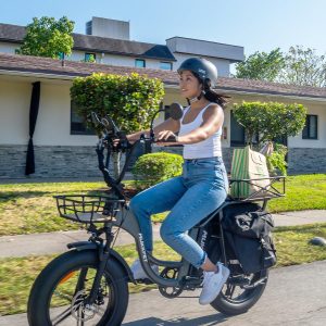 Mukkpet Breeze Electric Bike for Adults, Peak 1500w Motor 30AH Dual Batteries Ebike, 120Miles Two Seater Cargo Electric Bike, 20” *4.0 Fat Tire Ebikes for Adults UL2849 Certified