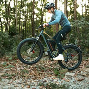 Leeyalan Moped Electric Bike for Adults 1500W(Peak) Motor with 960Wh Removable Battery, 20" Fat Tire Electric Bike 30MPH Top Speed 7 Speed Gears, Dual Shock, Hydraulic Suspension, E Bikes for Adults